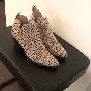 Cream and Black printed booties